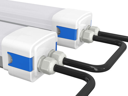 DUALRAYS D5 светодиодный водонепроницаемый свет с переключаемой мощностью DIP/3CCT 160LPW эффективность