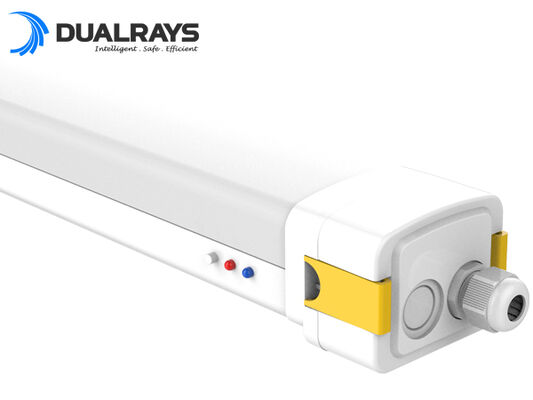 DUALRAYS Europe осуществляет поставки светильников UFO High Bay со склада в Европе напрямую в Нидерланды в течение 3 рабочих дней и предоставляет местное послепродажное обслуживание.