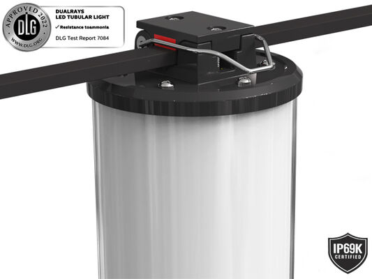 Снабжение жилищем IP65 IK08 ПК подземного света доказательства СИД Paking аварийного Tri полное