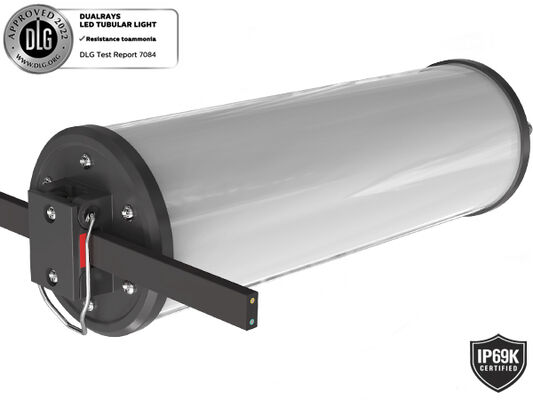 15W IP66/IP69K 140lm/W LED портативный рабочий свет для морского и временного освещения