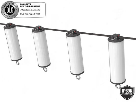 15W IP66/IP69K 140lm/W LED портативный рабочий свет для морского и временного освещения