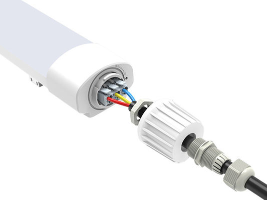 Полностью пластиковое Tri доказательство светлое IP65 IK08 пара СИД света 36W D2 IP65 доказательства для проекта Whoelsale
